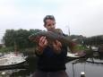 Mark Regelink