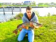 MarcoBrugmans84cm