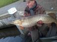 Grote snoek 1 meter 11 en 25 pond 040