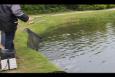 IMG 0516
