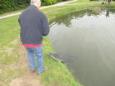 IMG 1786