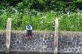 IMG 4833